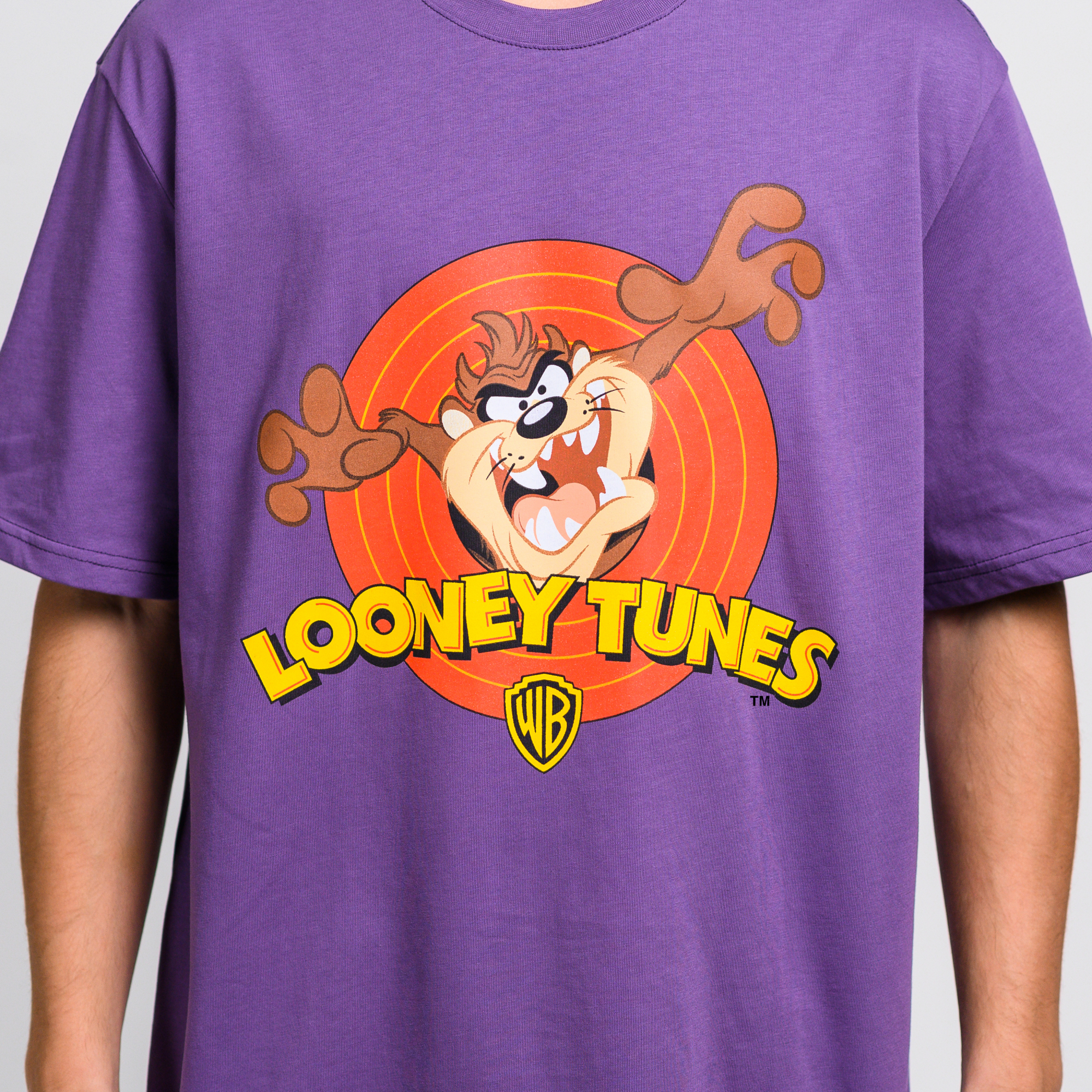 Футболка TAZ