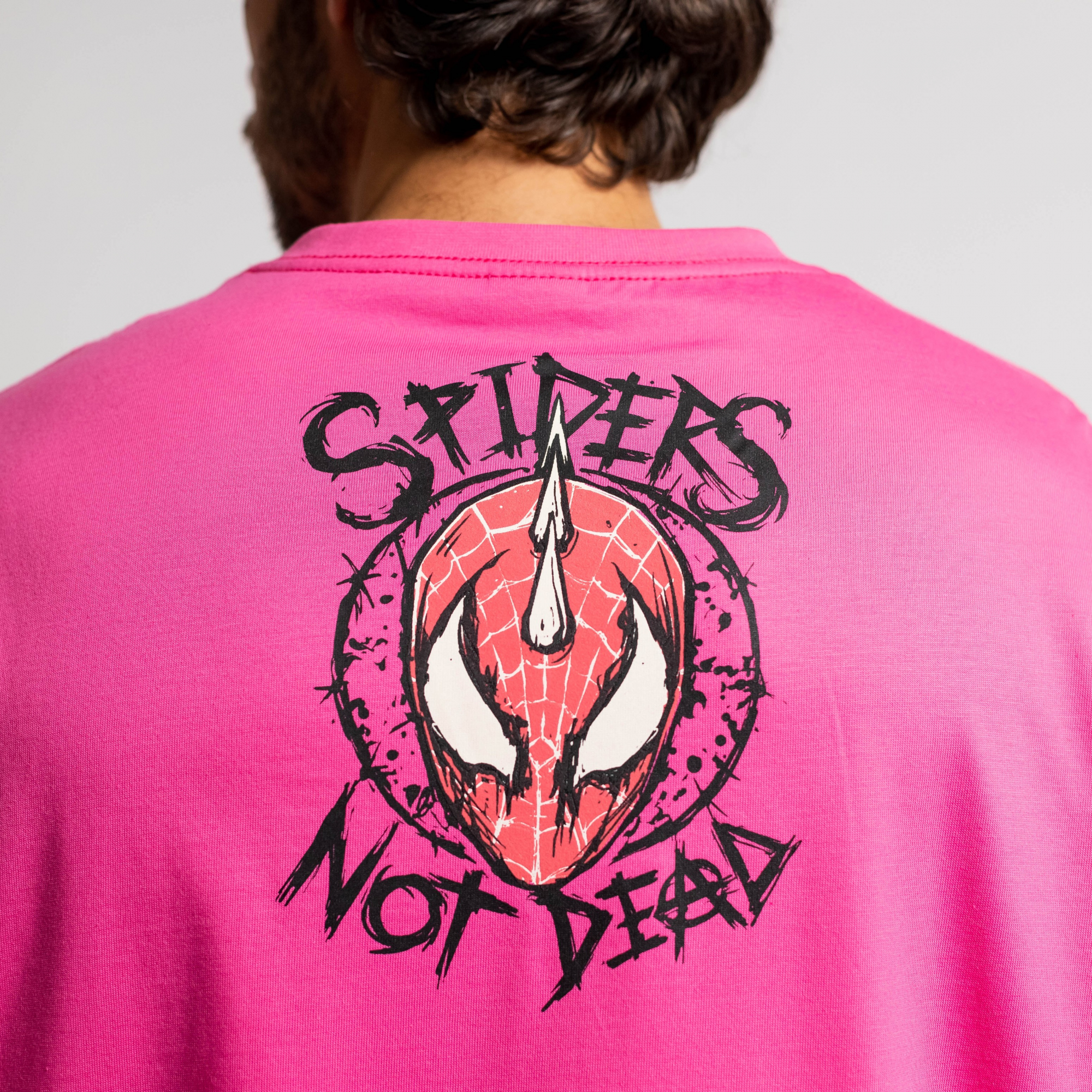 Футболка Паук Панк