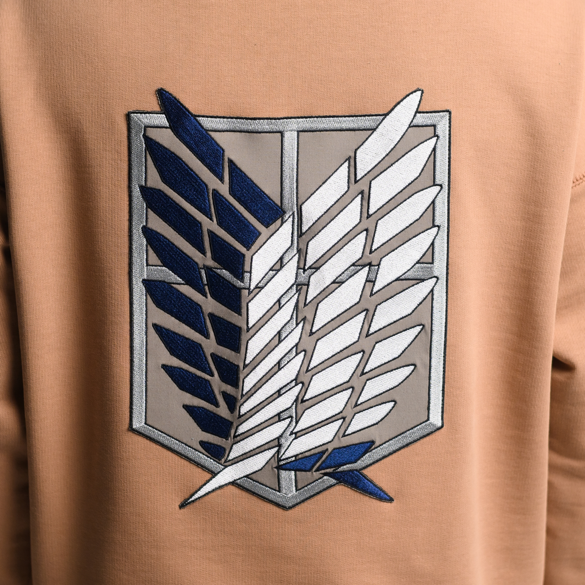 Худи Attack on Titan