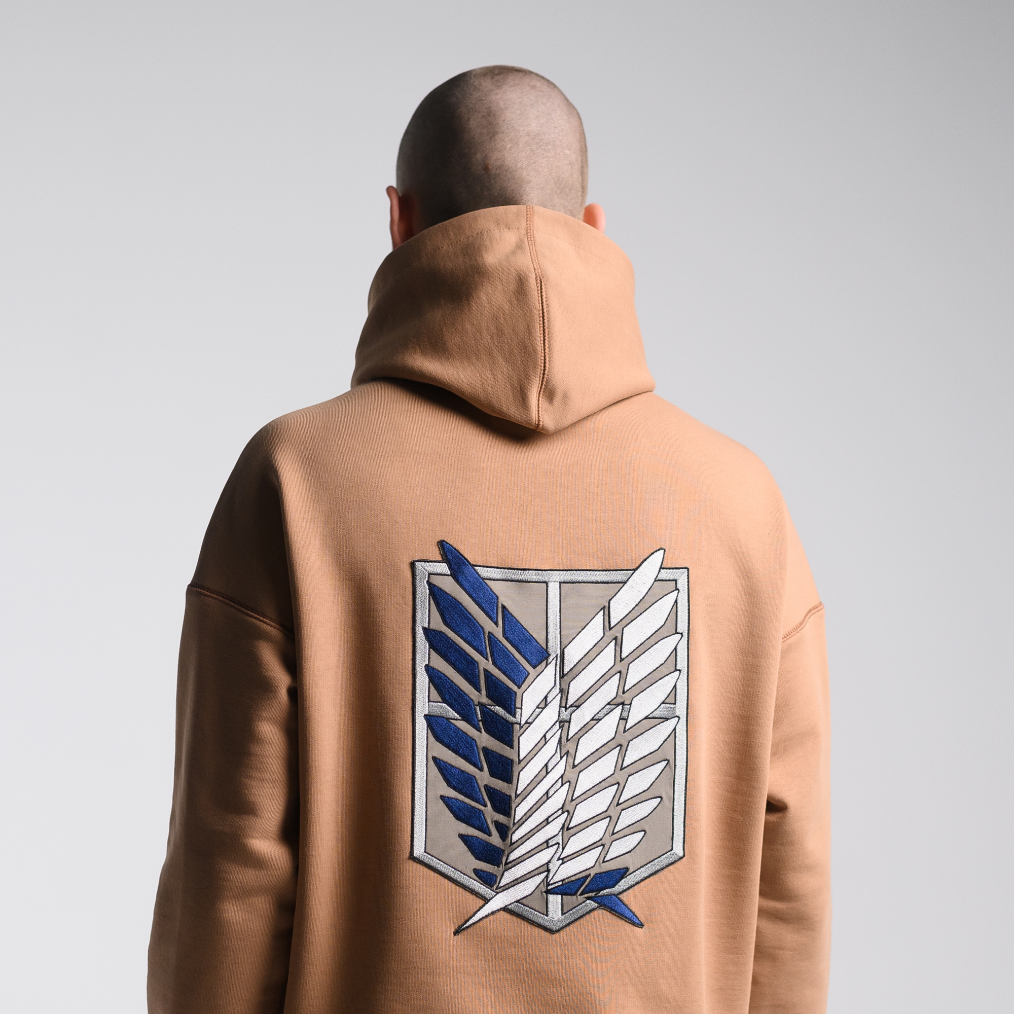 Худи Attack on Titan