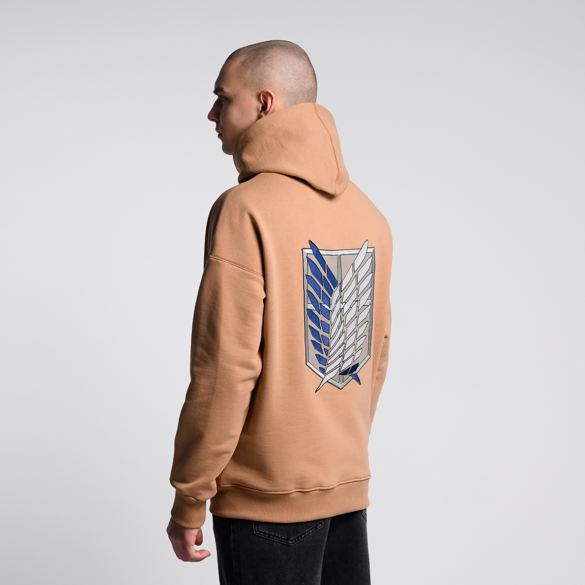 Худи Attack on Titan