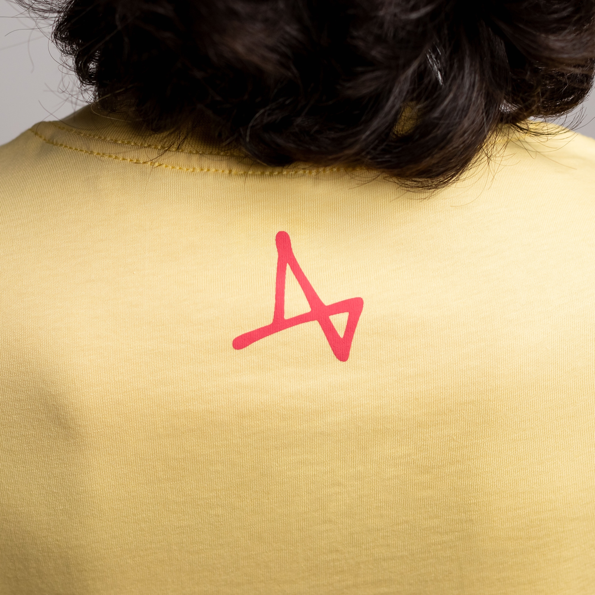 Футболка Жаба-Самурай