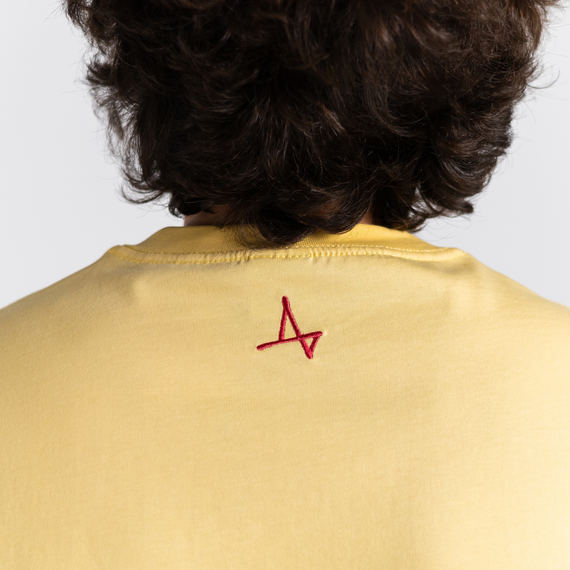 Футболка Жаба-Самурай