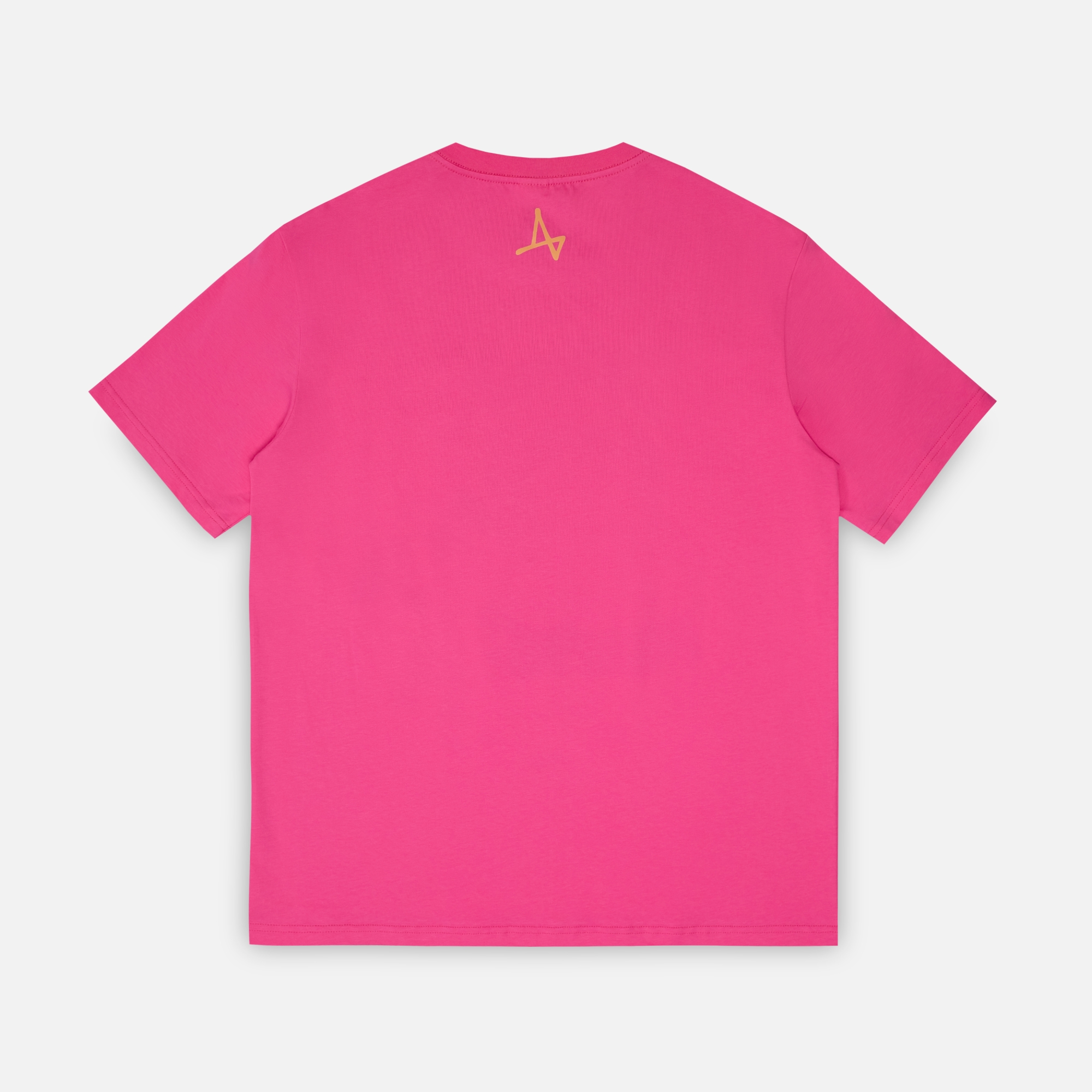 Футболка Попугай Кеша