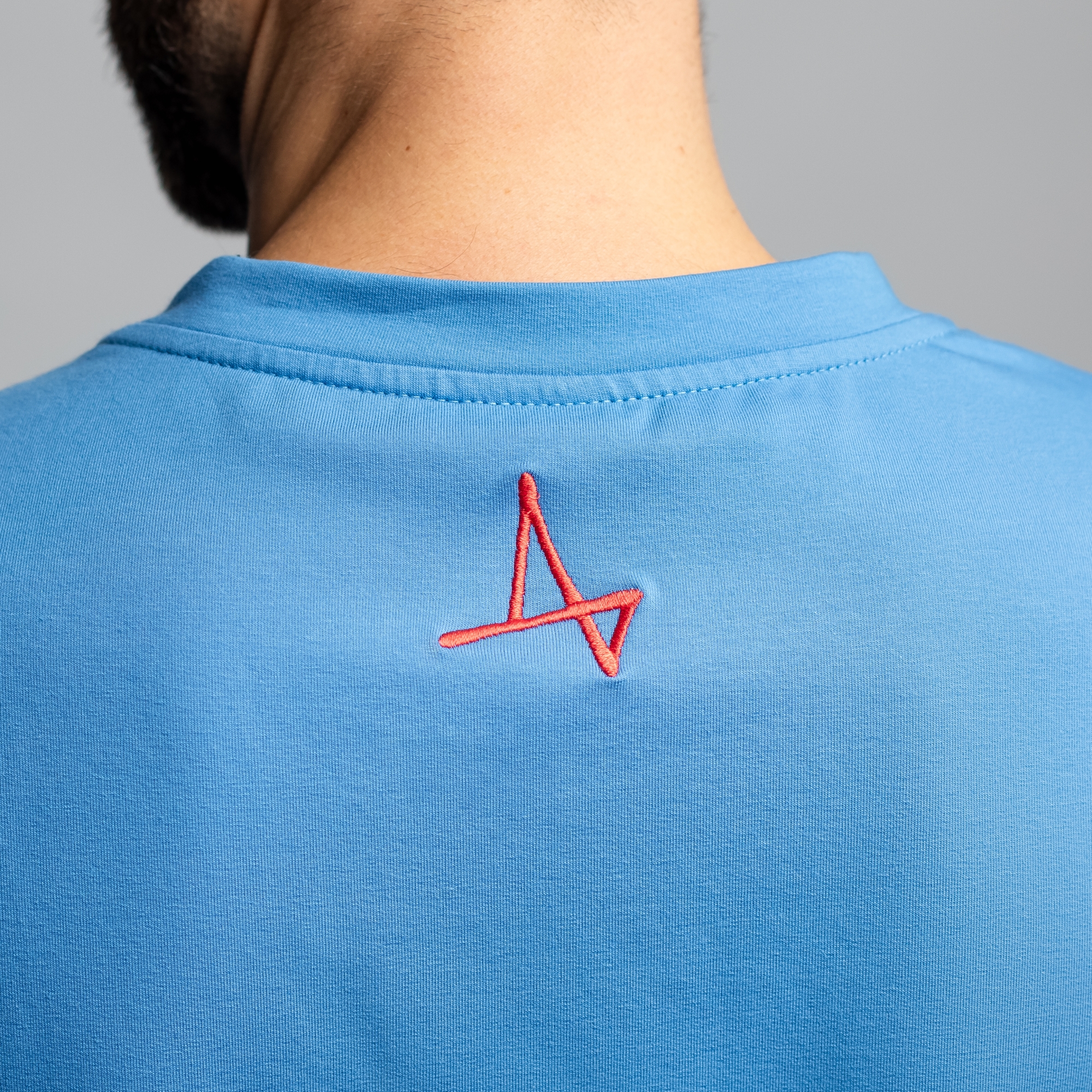 Футболка Голубь