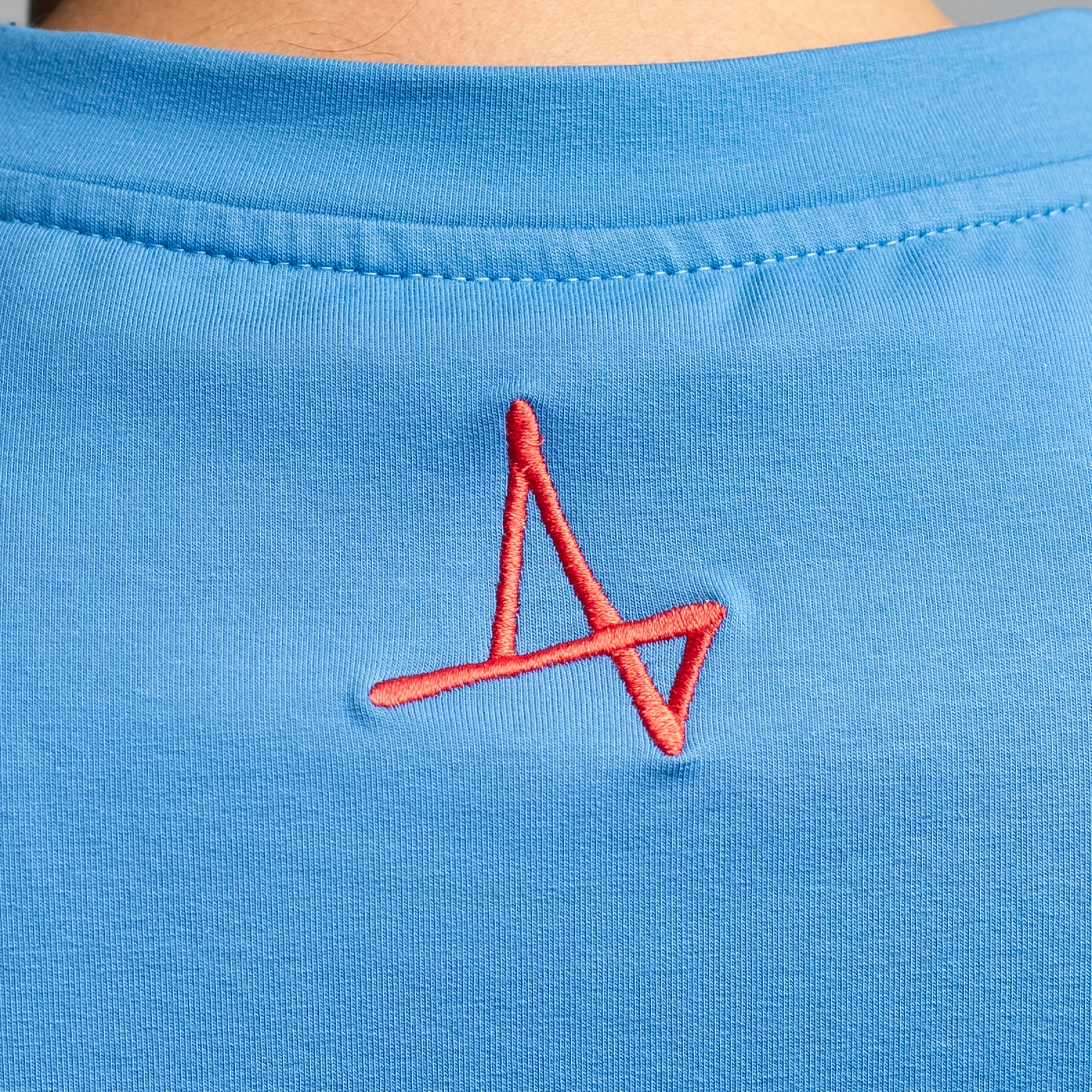 Футболка Голубь