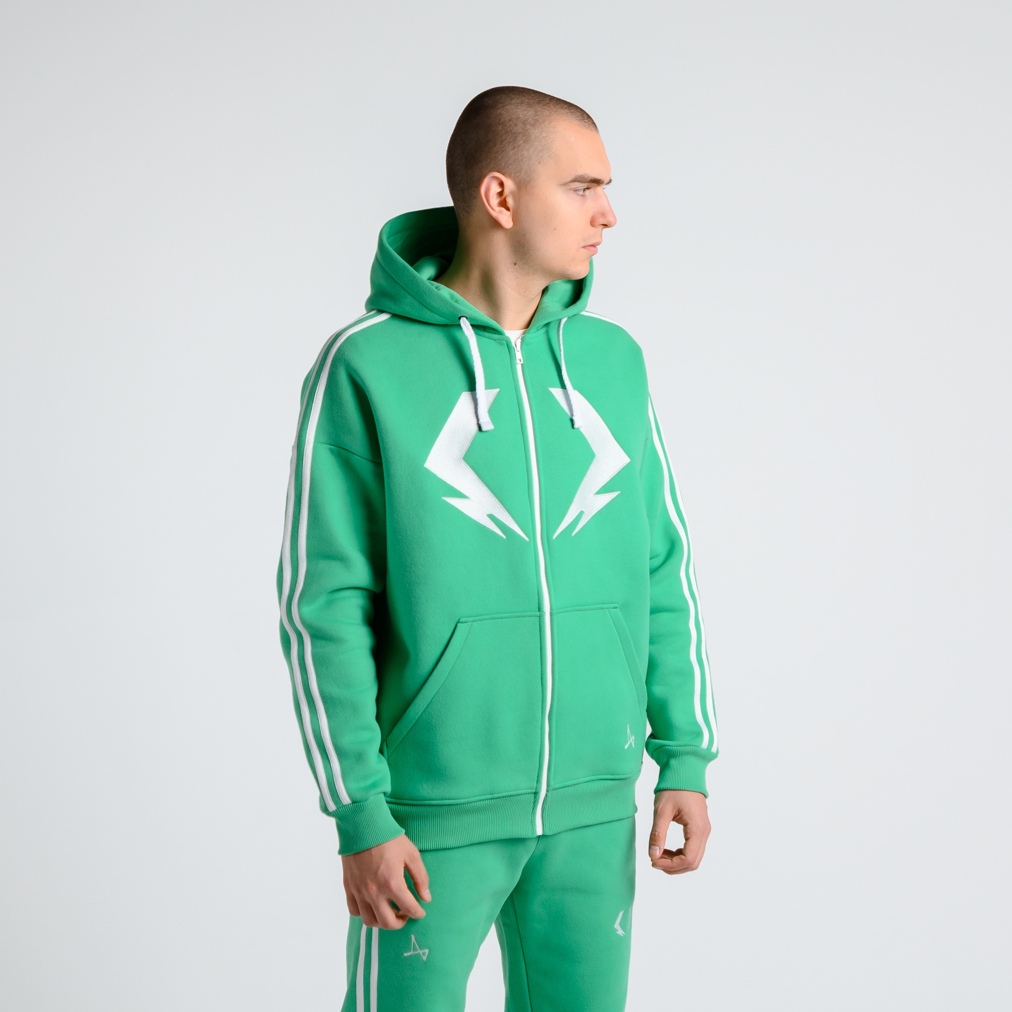 Зип-худи Слепень