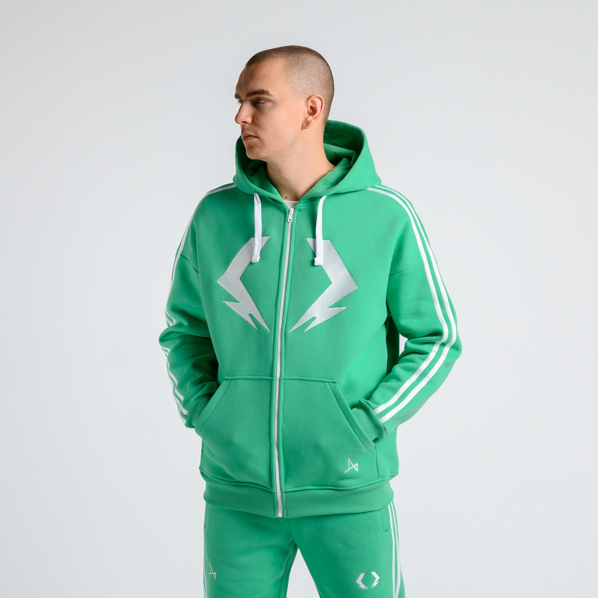 Зип-худи Слепень