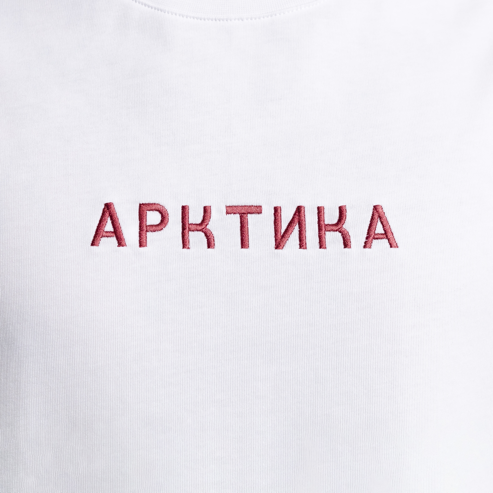 Футболка Арктика