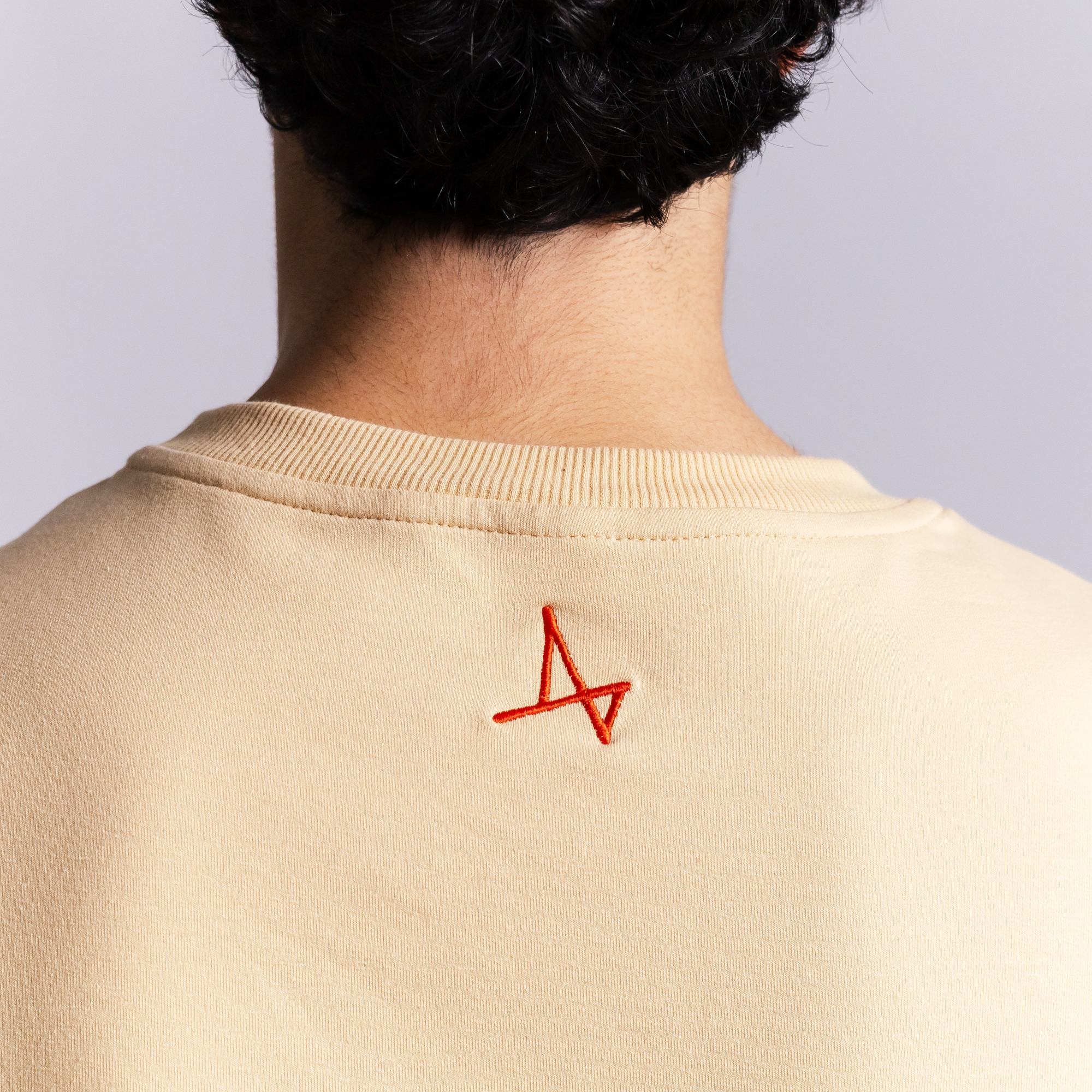 Футболка Метеор на ринге