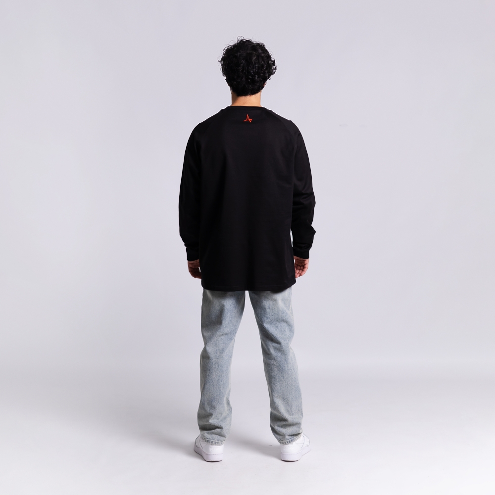 Лонгслив Метеор на ринге