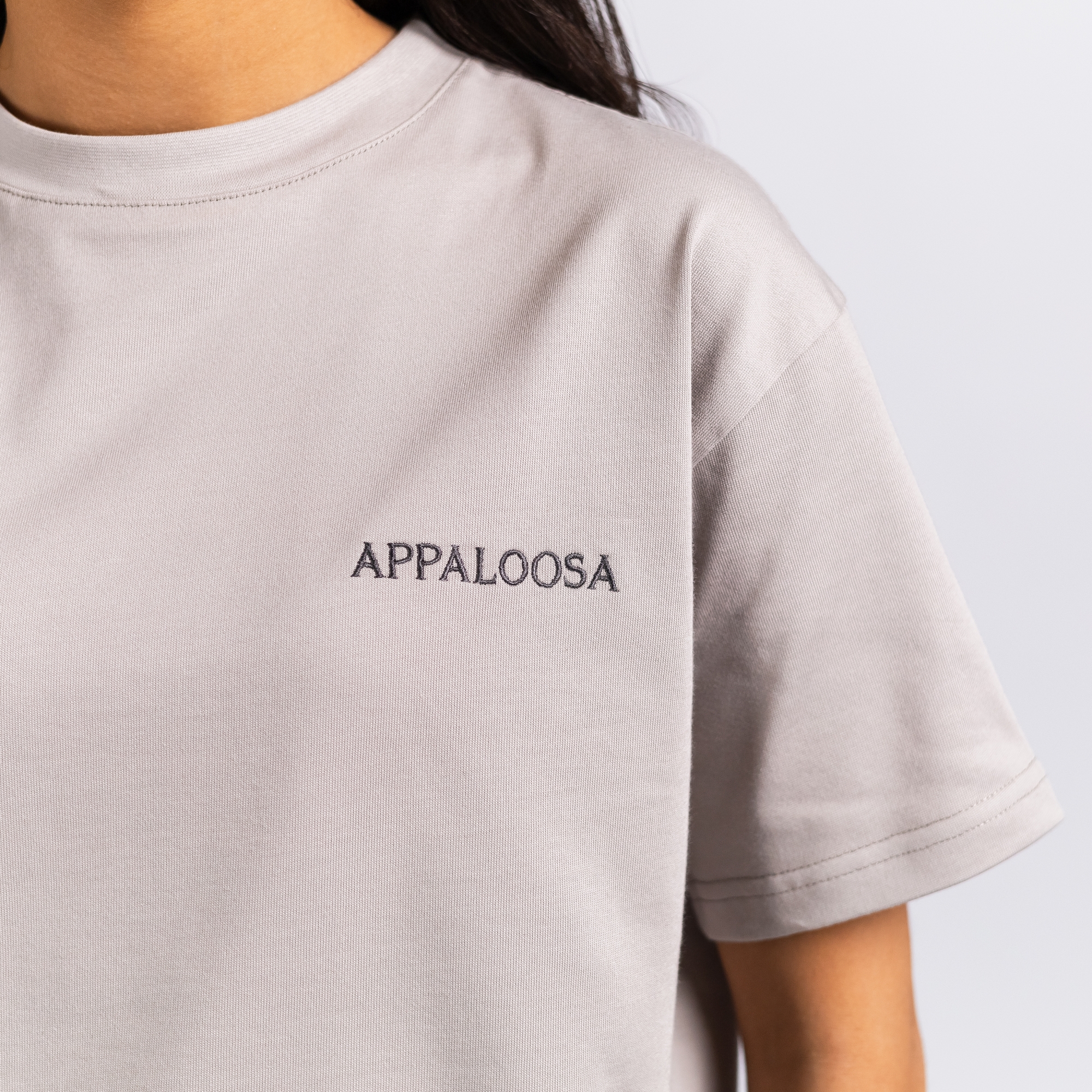 Футболка Appaloosa