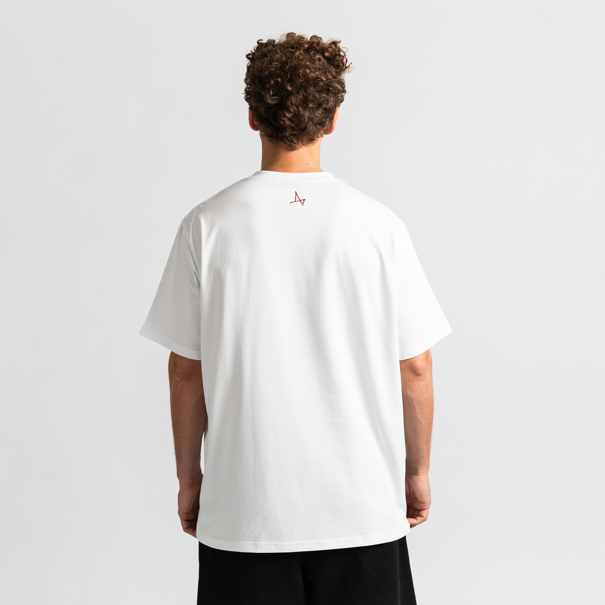 Футболка Арктика