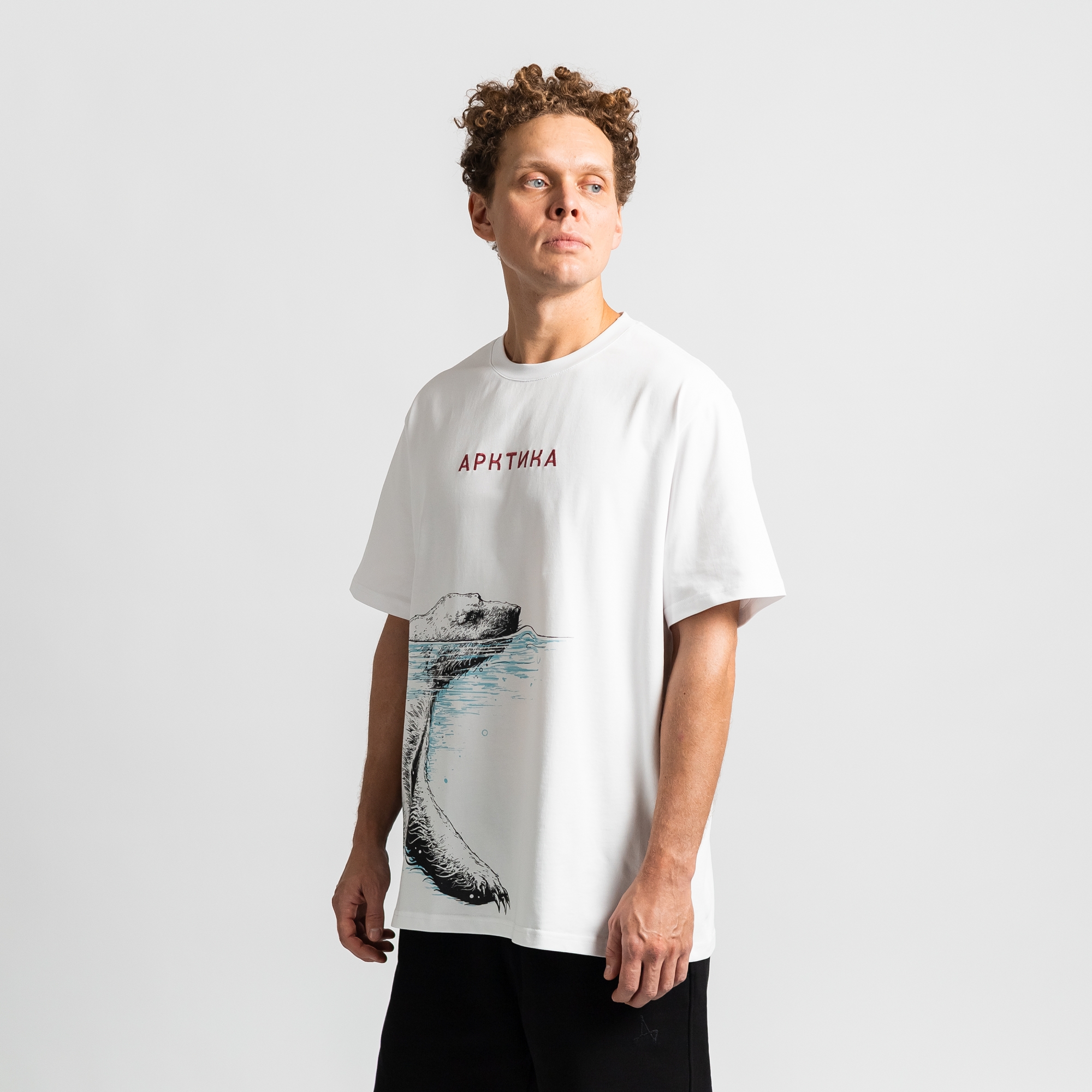 Футболка Арктика
