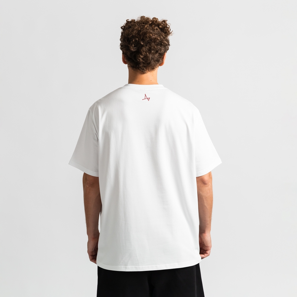 Футболка Арктика