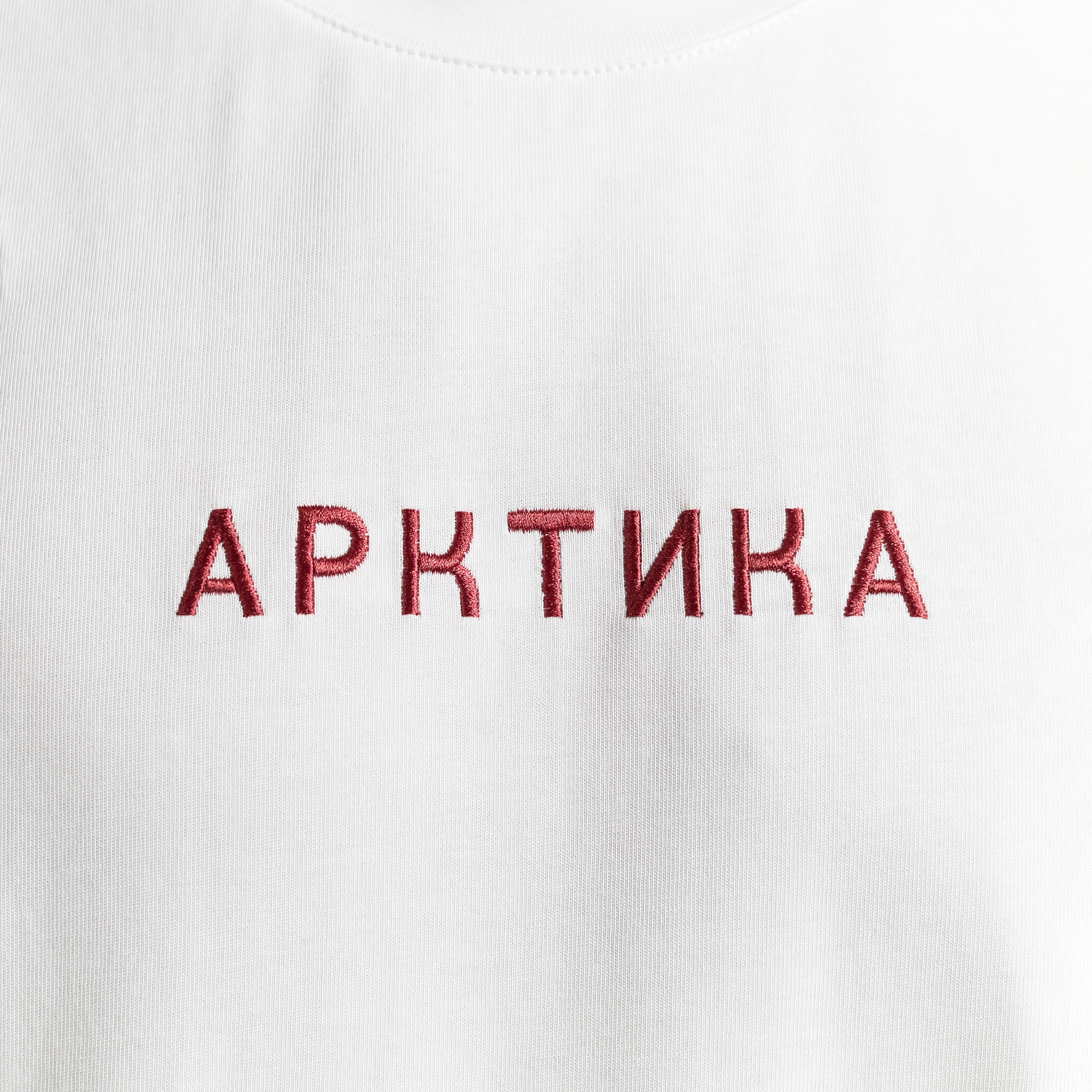 Футболка Арктика