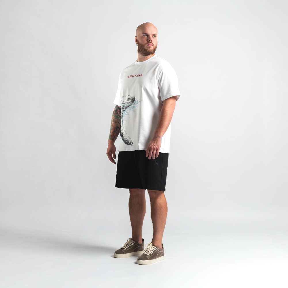 Футболка Арктика