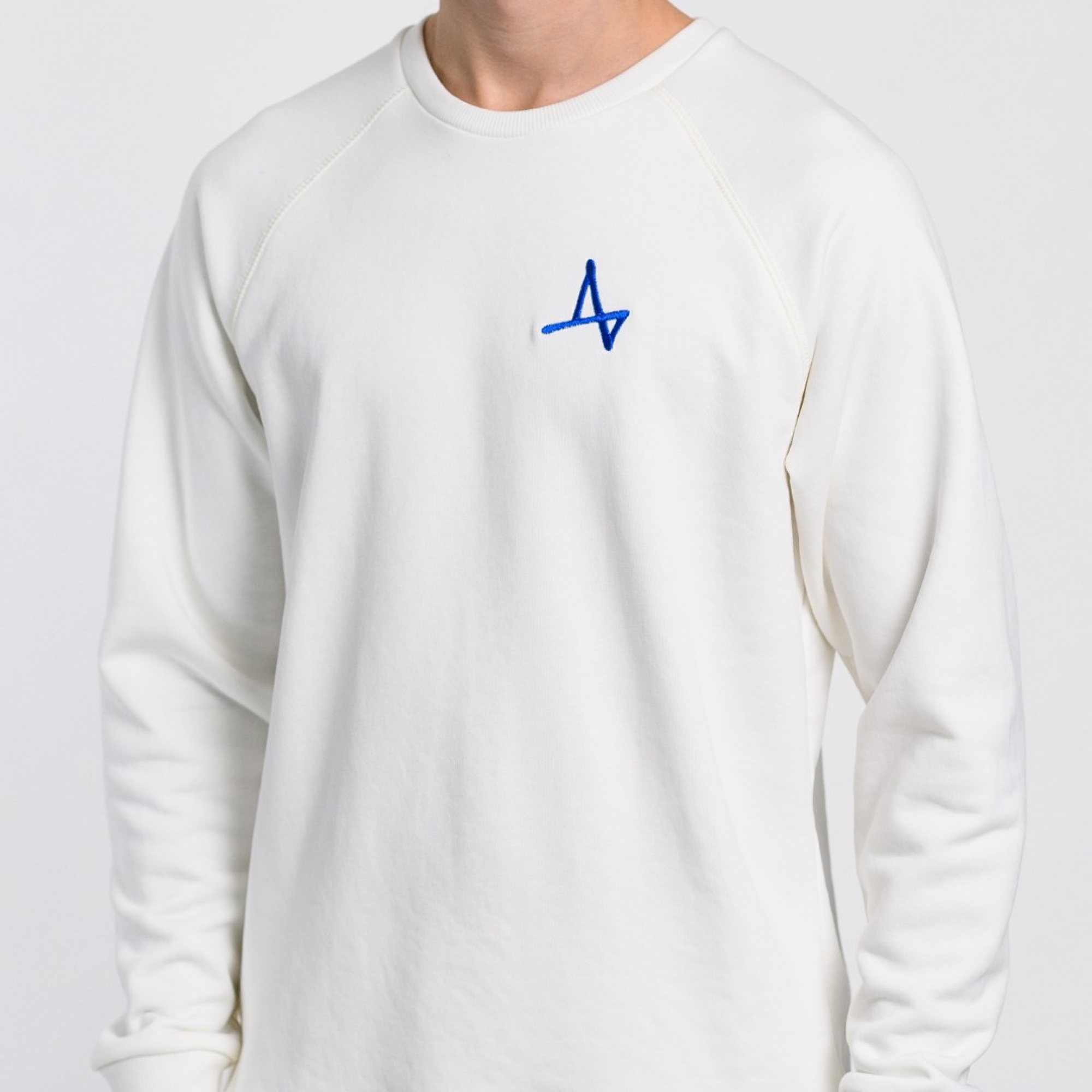 Свитшот Ласточка