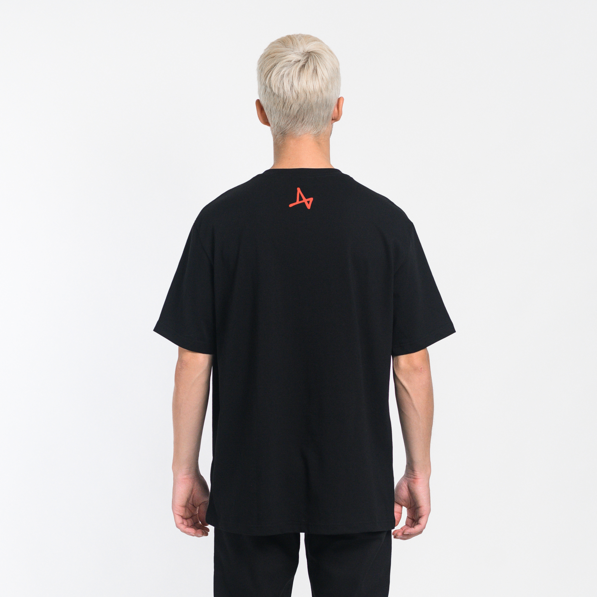 Футболка Attack on Titan