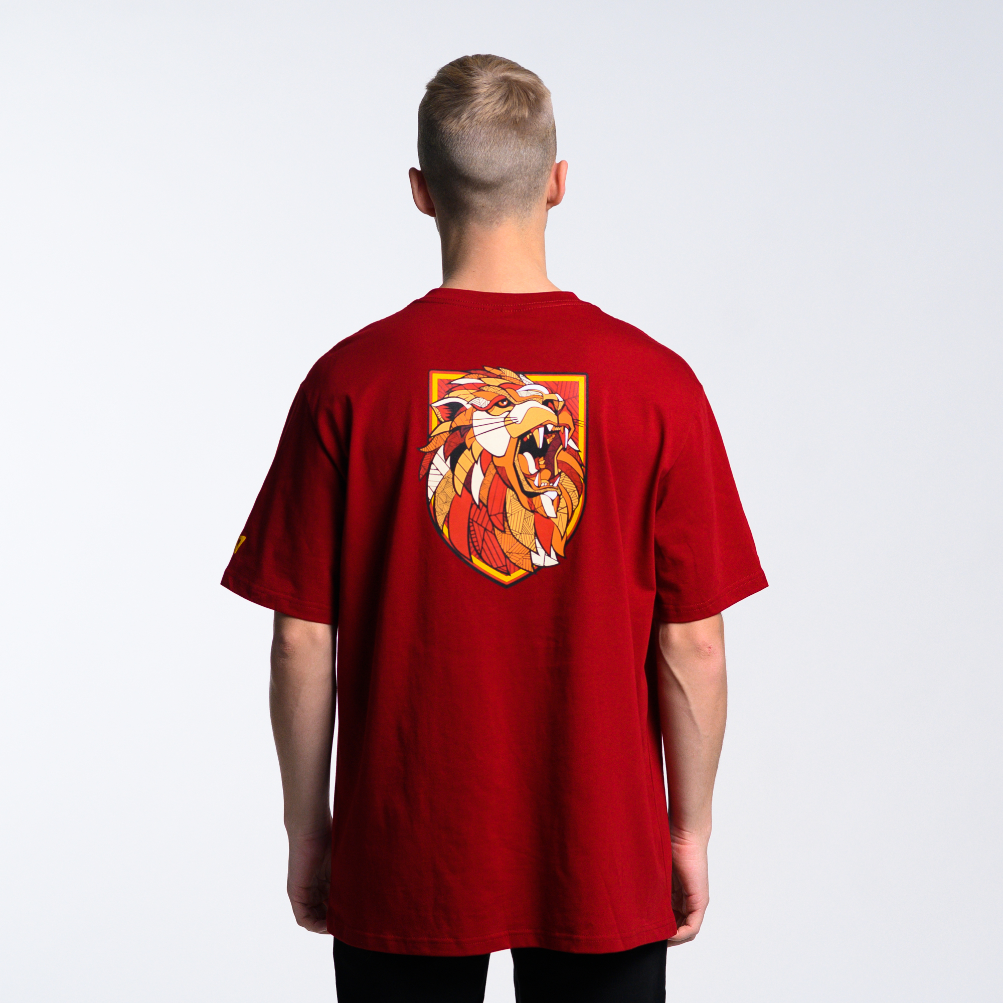 Футболка Gryffindor