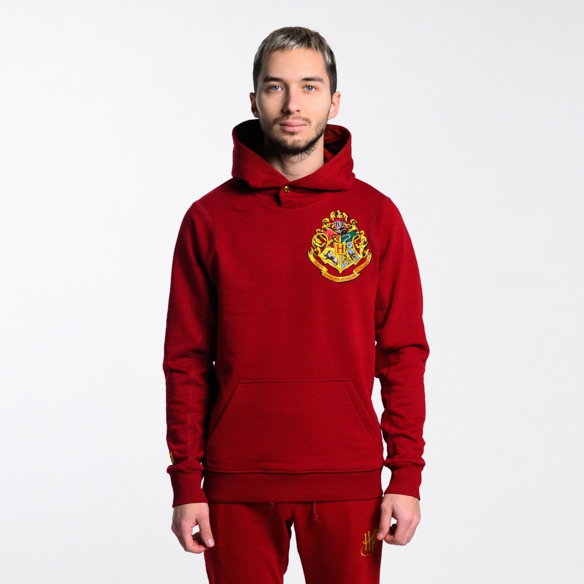 Худи Harry Potter