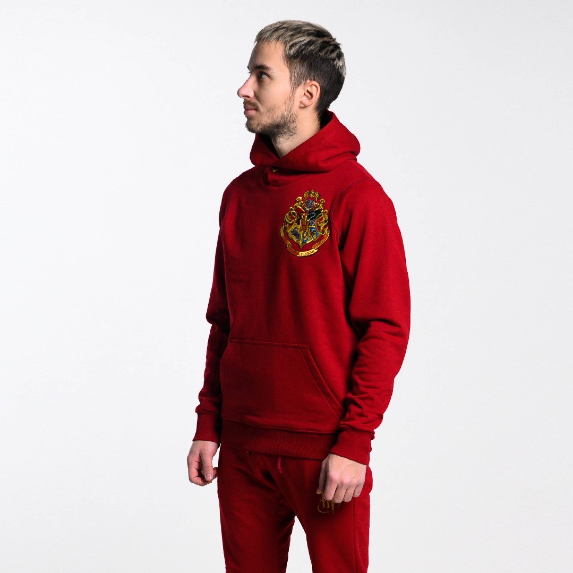 Худи Harry Potter