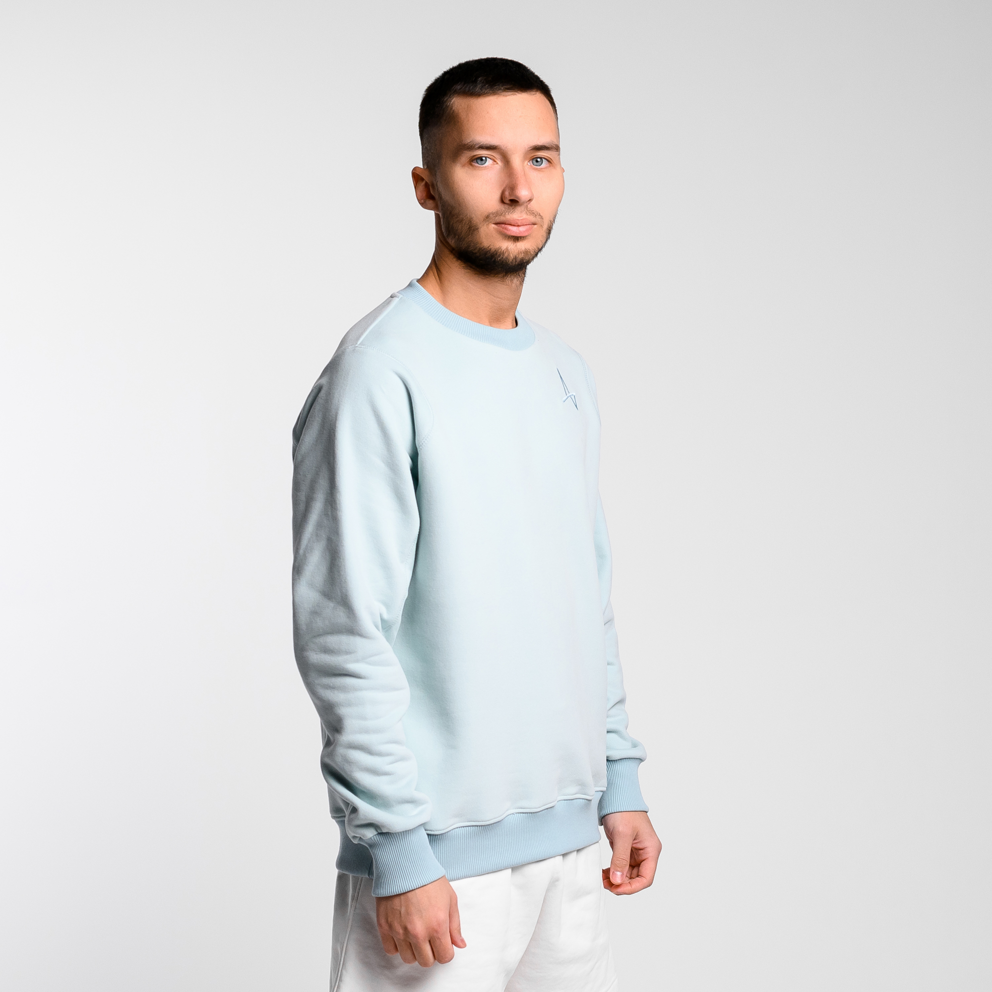 Sweatshirt Simple Velur